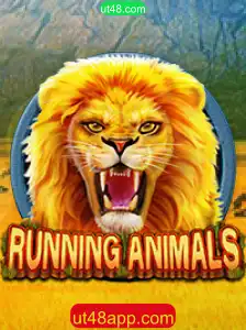 Explorando o Mundo de RunningAnimals: Um Guia Completo
